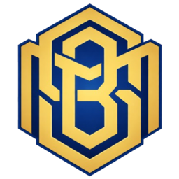 MSB Group Logo